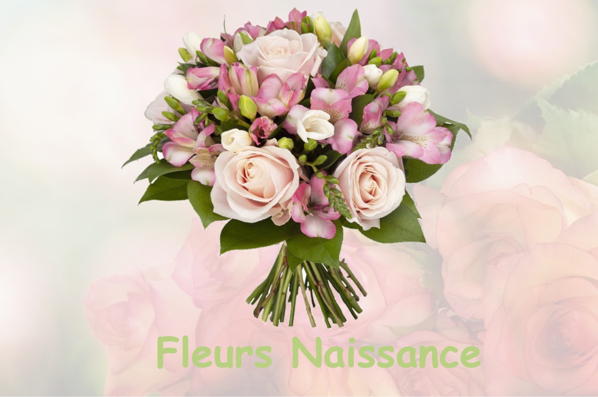 fleurs naissance COURSON-LES-CARRIERES